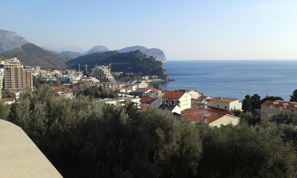 Oro Apartments Petrovac Rum bild